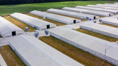 Endüstriyel tavuk kulübesinin havadan görünüşü. Modern çiftlik kümes hayvanları binaları. Tarım