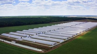 Kümes hayvanlarının havadan görünüşü. Modern çiftlik kümes hayvanları binaları. Tarım