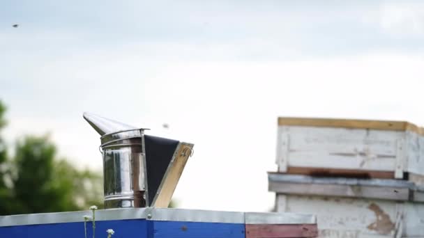 蜜蜂用的钢铁烟雾弹立在蜂房上 养蜂人在模糊的背景下与木制蜂窝一起工作 — 图库视频影像