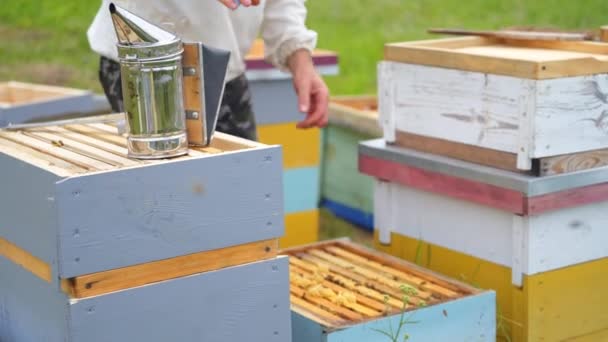 养蜂人在蜂房附近与吸烟者一起工作 工人们在四月采蜜 养蜂概念 — 图库视频影像