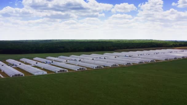 国内の工業用養鶏場の空中ビュー 近代的な工場外観 — ストック動画