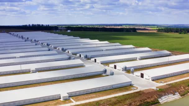 国内の工業用養鶏場の空中ビュー 近代的な工場外観 — ストック動画