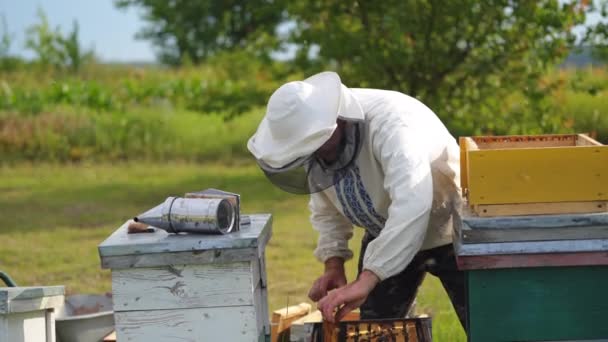 养蜂人在养蜂场与蜜蜂和蜂窝一起工作 4月1日的养蜂人 — 图库视频影像