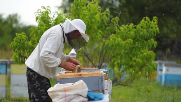 有蜂房的雄性养蜂人 养蜂人检查蜂窝中的蜜蜂 — 图库视频影像
