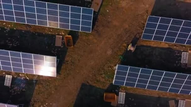 Paneles Solares Campo Energía Renovable Tecnología Electricidad Servicio Energía Verde — Vídeo de stock