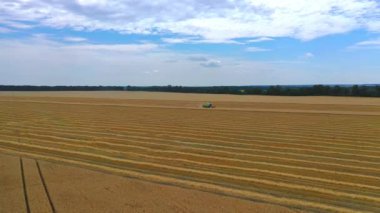 Tahıl yeşili hasat, güneşli bir günde birleşiyor. Tahıllı sarı alan. Tarımsal teknisyenler bu alanda çalışıyor. Yan taraftan video.