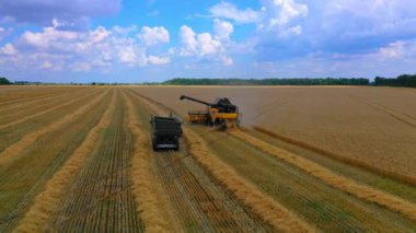 Tarlada tahıl toplama ekipmanları. Hasat zamanı. Tarım sektörü