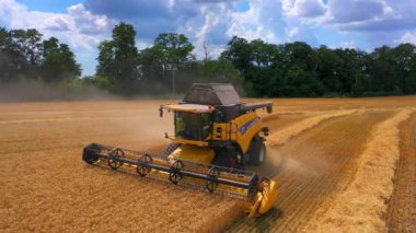 Sahada eylem hasat birleştirin. Hasat makinesini birleştir. Buğday tarlası hasat için hasat makinesi.