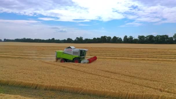 Combine Harvester Action Field Combine Harvester Harvesting Machine Harvesting Wheat — Stock Video
