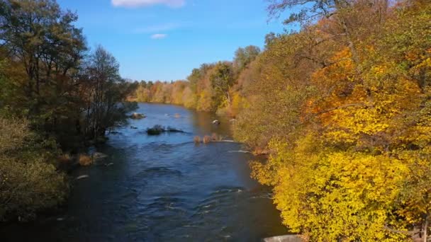 Fantastisches Bild Des Fließenden Flusses Inmitten Des Waldes Bunte Bäume — Stockvideo