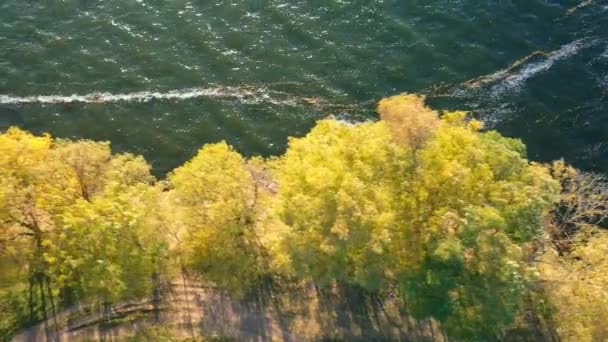 川の輝く波によって飾られた黄色い木の水面 風が水面と木の葉を横切って吹いている トップビュー — ストック動画