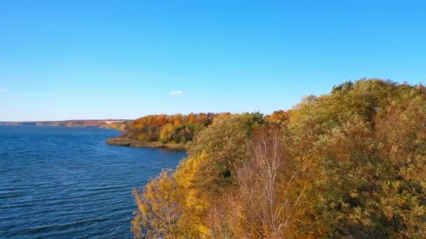 Schöne Herbstliche Naturlandschaft Fliegen Über Dunkelblauen Fluss Und Normale Bäume — Stockvideo