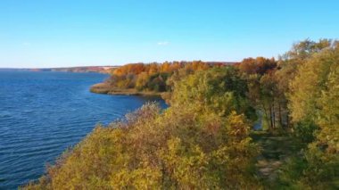 Çeşitli renkler arasında birkaç yeşil ağaç. Ormandaki patika rıhtıma çıkıyor. Kuş bakışı.