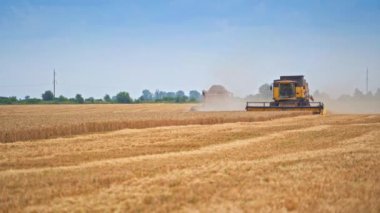 Tarlada çalışan iki hasat işçisi. Hasat mevsiminde altın buğday tarlasında çalışan tarım makineleri.