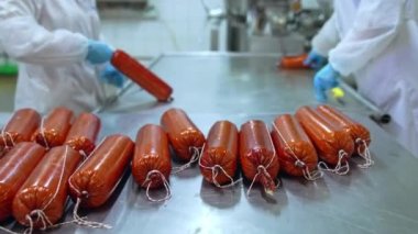 İki süt fabrikası işçisi peynir somunlarını paketliyor. Metal masada taze yapılmış kahverengi peynirli somunlar. Süt ürünleri fabrikasında peynir üretimi.