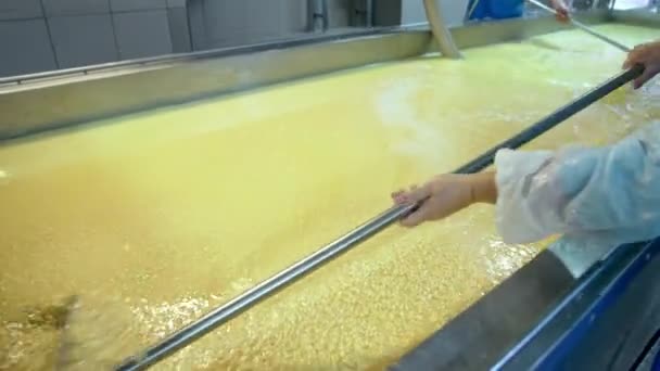 Lavoratori Impianti Lattiero Caseari Che Mescolano Latte Fermentato Con Attrezzature — Video Stock