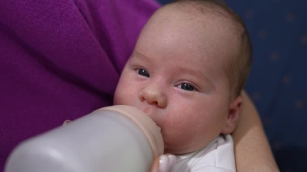 병에서 먹이는 사랑스러운 신생아 어머니는 아이를 병에서 먹이를 줍니다 클로즈업 — 비디오