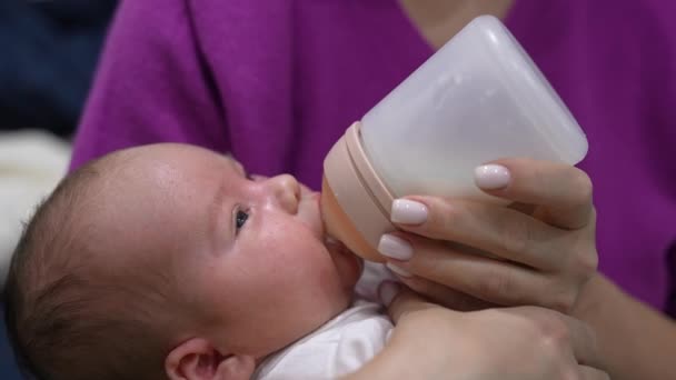 幼い赤ん坊は母親の手の上に横たわっている プラスチックボトルからミルクを吸う小さな赤ちゃん クローズアップショット — ストック動画