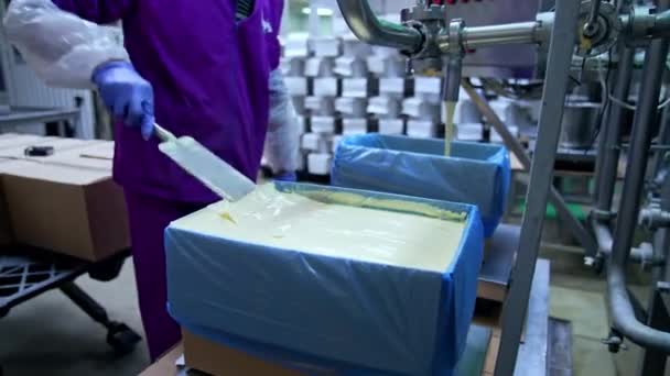 Üniformalı Süt Fabrikası Işçisi Kutuya Tereyağı Sürüyor Tereyağı Dökülen Konteynırı — Stok video