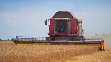 Kırmızı hasat aracı ekin toplarken yaklaşıyor. Olgun tarlada çalışan büyük bir makine. Hasat arabası süren iki adam..
