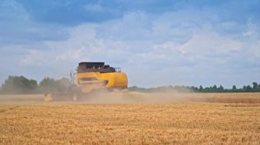 Sarı hasat makinesi, makineden fırlayan tozlu saman bulutlarında çok nadir görülür. Güzel doğa manzarasında çalışma teknikleri.