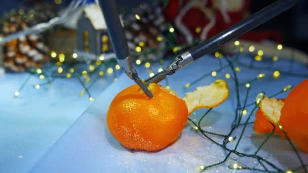 ジューシーなオレンジ色のタンジェリンはダ ヴィンチの小さな爪で剥がされています 果実を剥がすロボットアームの正確な動き 背景にあるクリスマスの装飾 — ストック動画