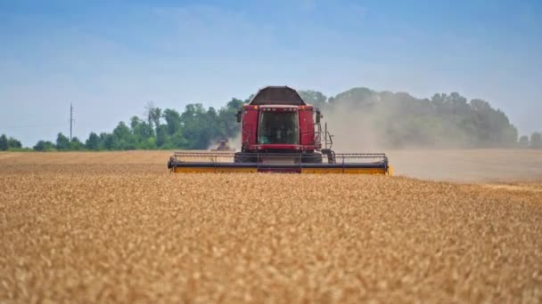 Moderne Landbouwmachines Bewegen Langzaam Door Prachtige Gele Landbouwgrond Naderen Rode — Stockvideo