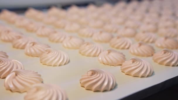 既製のクリーミーなマシュマロは コンベヤベルトでドライヤーに移動します 菓子工場でのマシュマロ生産 クローズアップ — ストック動画