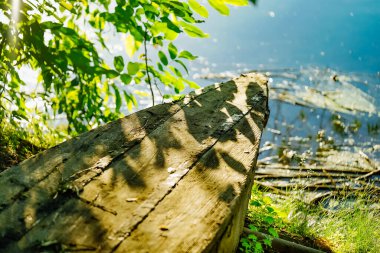 Serene Tahta Benç Resimli Yeşil Manzaraya Bakar. Yeşillik bir yamacın tepesinde oturan ahşap bir bank.