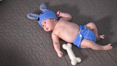 Yeni doğan çocuk komik mavi örgü bir köpek yavrusu giyiyor. Çocuğun yanında oyuncak kemik var. Gri arka planda komik kostümlü bebek.
