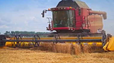 Büyük kırmızı hasat makinesi kameraya yaklaşıyor. Büyük çapa son dikenleri kesiyor. Otomatiği birleştir..