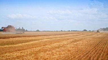 Hasat mevsiminde yeni biçilmiş buğday tarlası. Tarımsal makineler sahada çalışıyor. Makinelerden yoğun duman çıkıyor ve alanı kaplıyor..