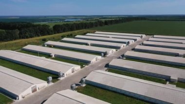 Kırsal alanda organik tarım için büyük ahırlar. Günümüz hayvan yetiştiriciliği işi. Arka planda yeşil alanlar ve ormanlar var. Hava görünümü.