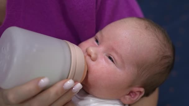 Das Neugeborene Wurde Aus Einer Flasche Gefüttert Die Den Händen — Stockvideo
