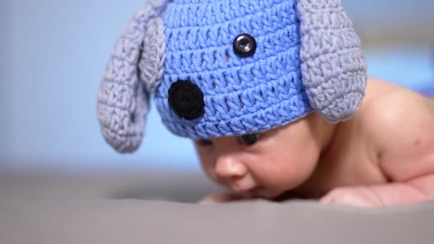 小宝宝头上的狗帽 可爱的孩子躺在肚子上 试着把头抬起来 带着一顶可笑的帽子 耳朵紧闭着的小孩儿 — 图库视频影像