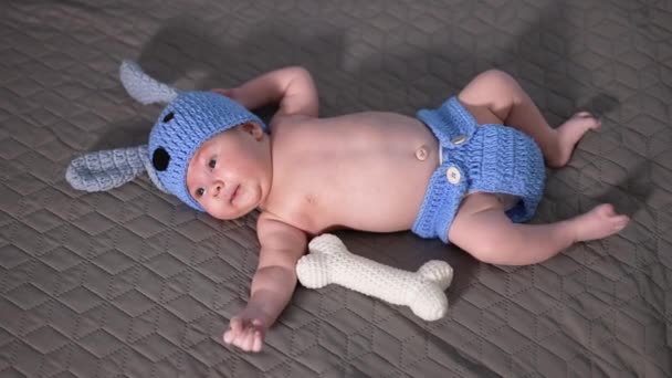 Traje Engraçado Filhote Cachorro Colocar Bebê Pequeno Osso Brinquedo Macio — Vídeo de Stock