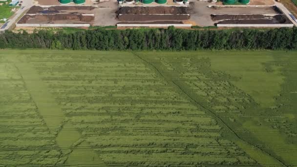 Terytorium Nowoczesnego Przedsiębiorstwa Produkcji Biogazu Lot Nad Zielonymi Plantacjami Dużymi — Wideo stockowe
