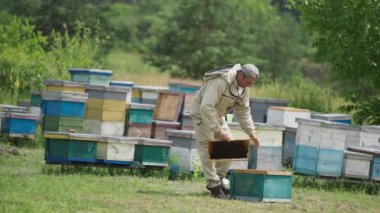 Apiarist arı kovanından bal peteklerini alıyor. Arı çiftliği ve insan üzerinde sayısız arı uçuyor. Arkaplanda güzel bir doğa.