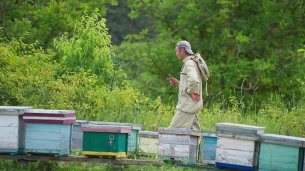 Apiarist Arı Kovanına Gider Onları Sayar Doğanın Arka Planında Arı — Stok video