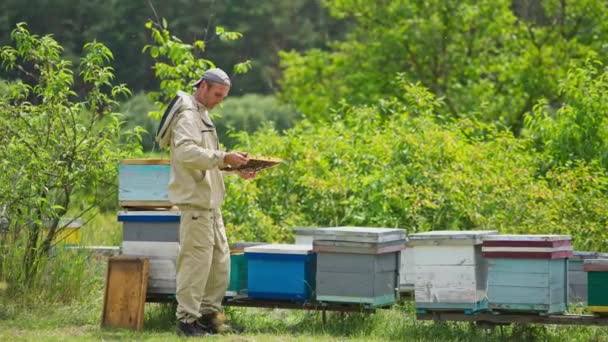 森林附近四季如春的蜂窝 养蜂人拿着蜂窝框架检查 — 图库视频影像