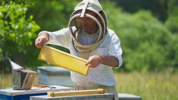 男算命师从蜂窝里拿着蜂窝的框架 戴着防护服和面具的养蜂人高兴地看着框架 — 图库视频影像
