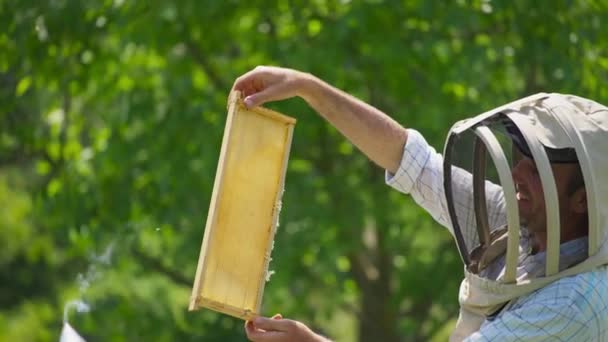 阿皮亚里斯带着蜂蜜和快乐的微笑看着画框 美丽的蜂蜜框架挡住了阳光 — 图库视频影像