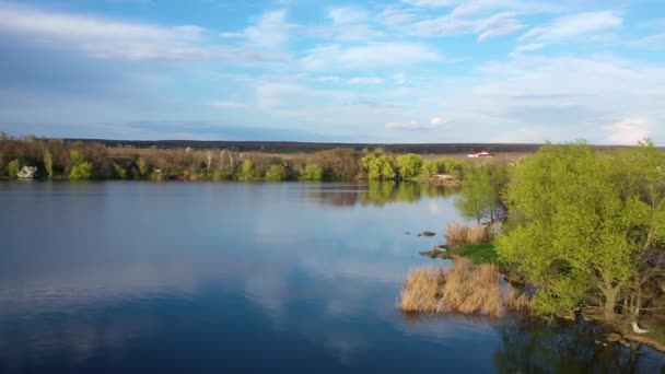 Ländliche Grüne Landschaft Und Fluss Drohnenblick Über Den Fluss Der — Stockvideo
