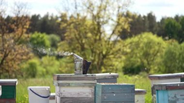 Bal Üretimi ve Arıcılık. Kovan grubuna sahip arı kovanları doğada bulunur.