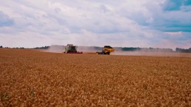 Ekin toplama mevsimi. Hasat sırasında tarım makineleri tarım arazilerinde çalışıyor.