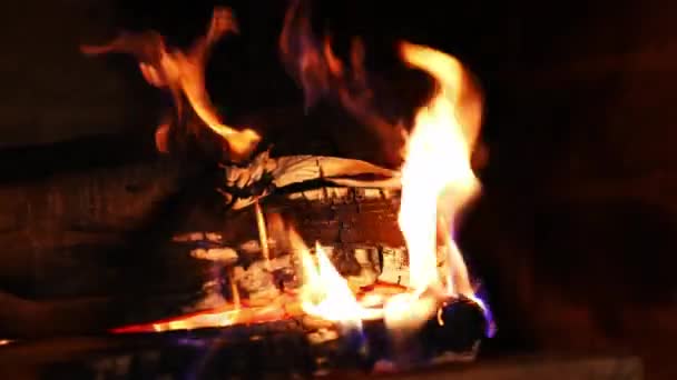 Яркое Пламя Горящего Камина Крупный План Теплого Уютного Горящего Огня — стоковое видео