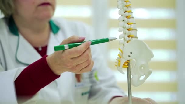 スパインのモデルを閉じます 脊椎モデルを病院で患者に説明する理学療法士 — ストック動画