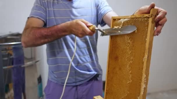 Εξαγωγή Μελιού Από Κηρήθρα Beekeeper Κοπή Καπάκια Κερί Ζεστό Μαχαίρι — Αρχείο Βίντεο