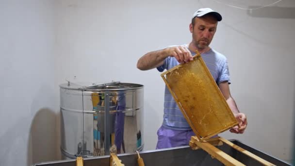 Honig Aus Den Waben Sammeln Prozess Der Honiggewinnung Aus Bienenwaben — Stockvideo