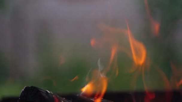 Fundalul Arderii Cărbunelui Fierbinte Vedere Aproape Focului Tabără Aer Liber — Videoclip de stoc